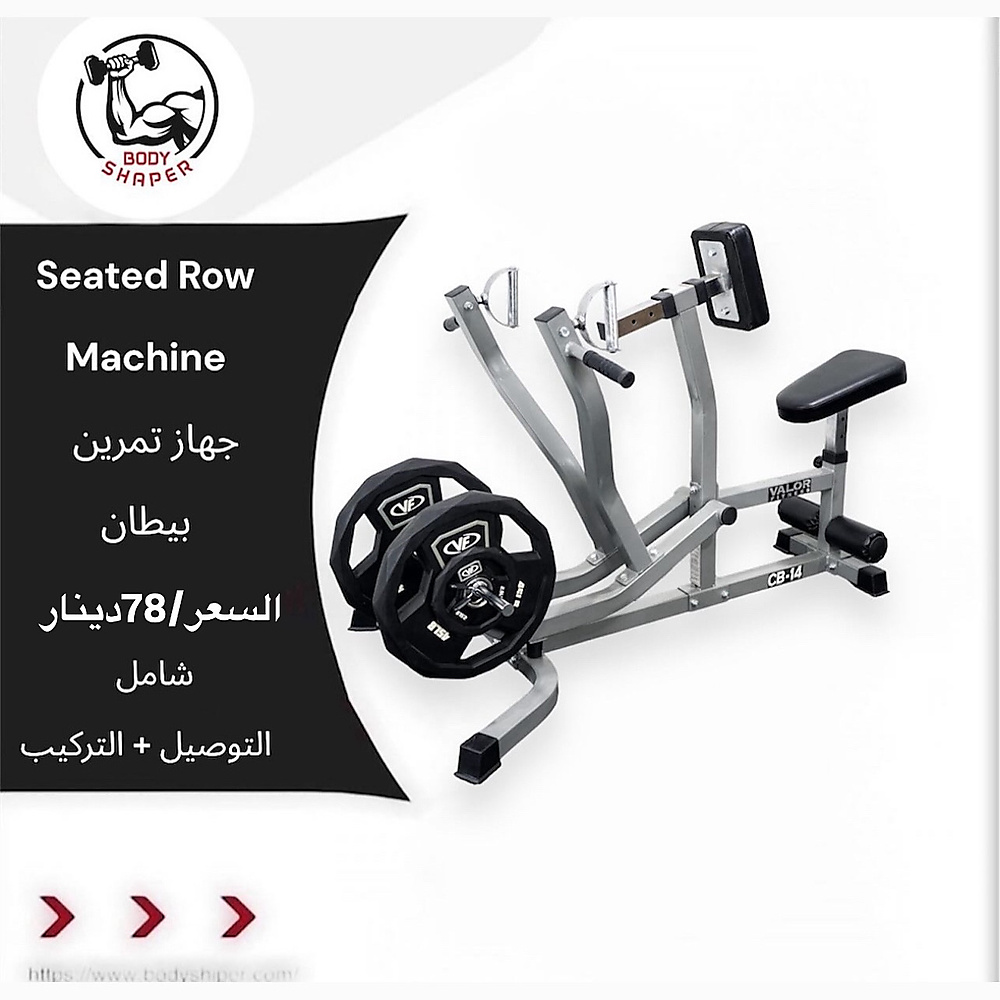 Seated RowMachine