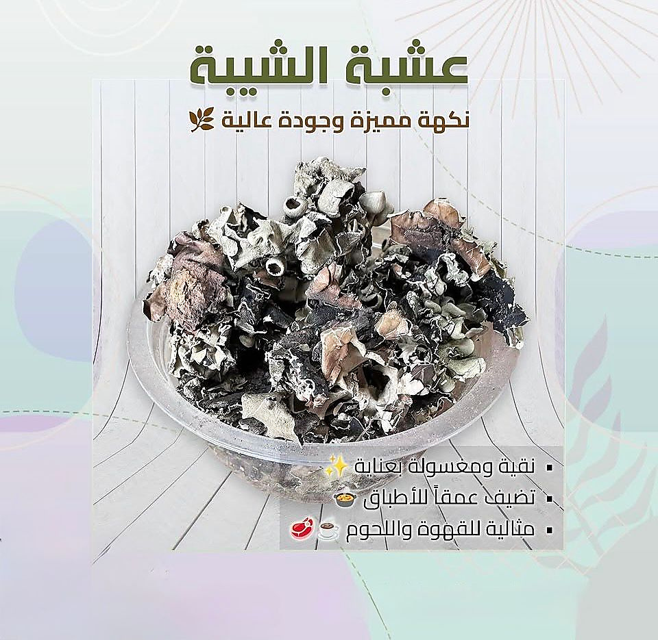 عشبة الشيبة
