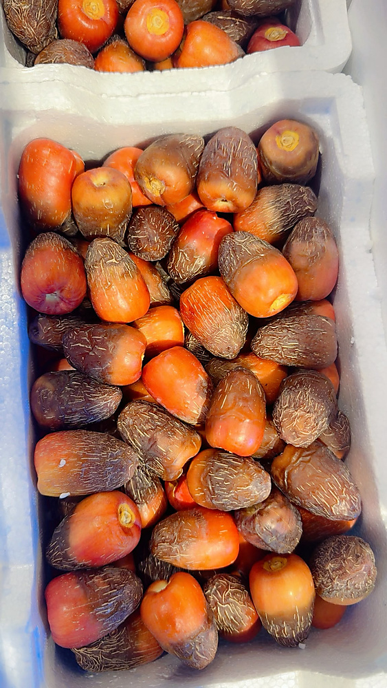 Red sugar dates, 1,750 kg