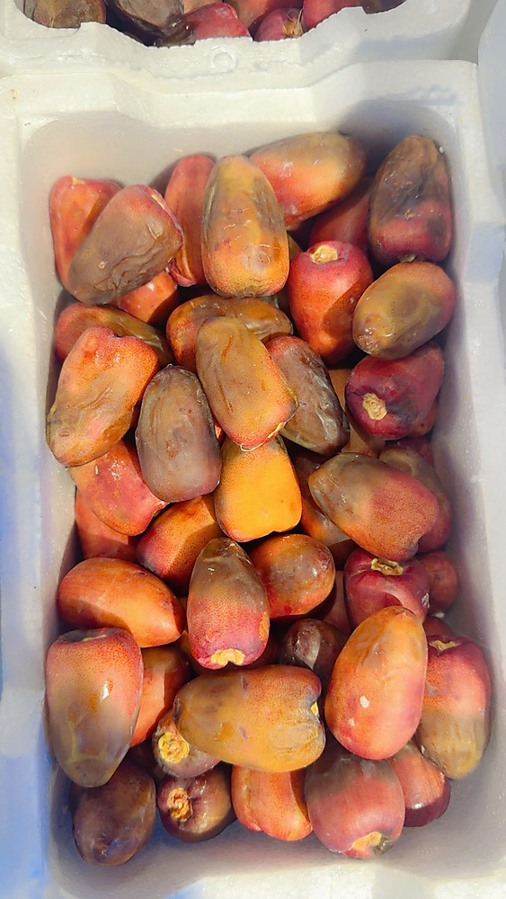 Fresh dates and 1,750 kg