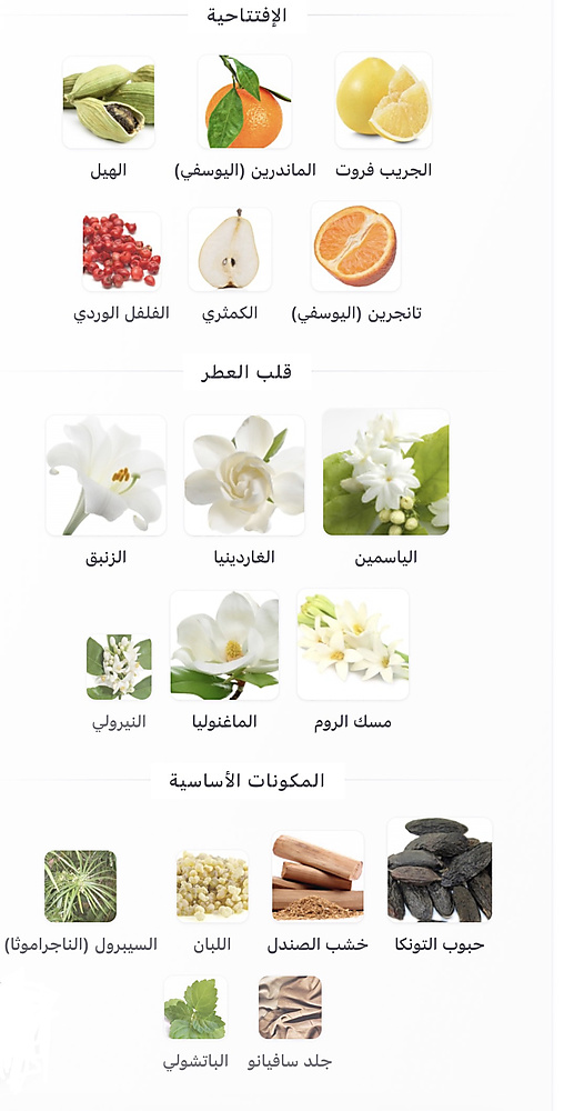 Omanluxury - Nasaj Eau de Parfum 100 ml