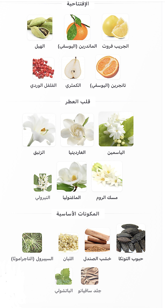 Omanluxury - Nasaj Eau de Parfum 100 ml