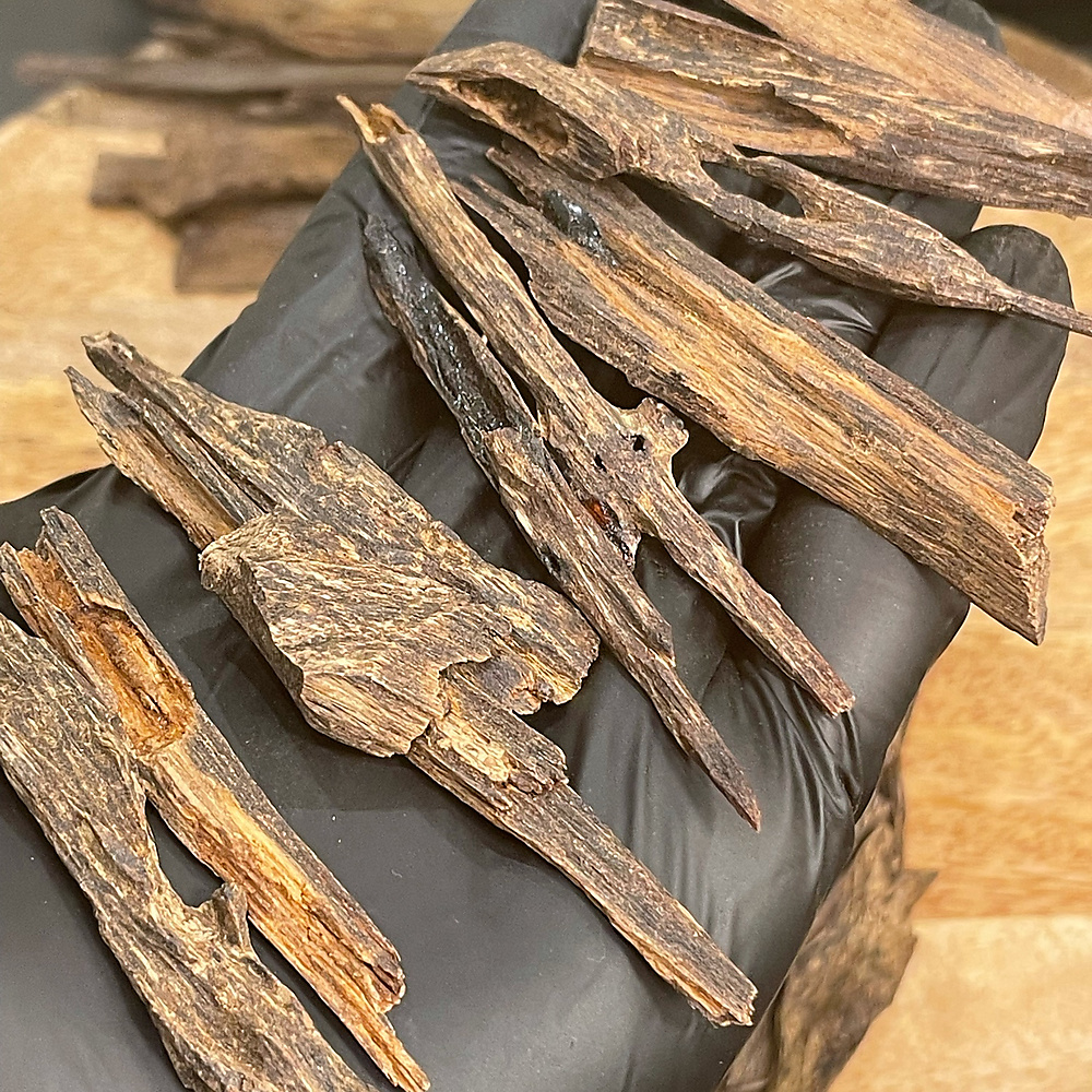 فلبيني النخبه
