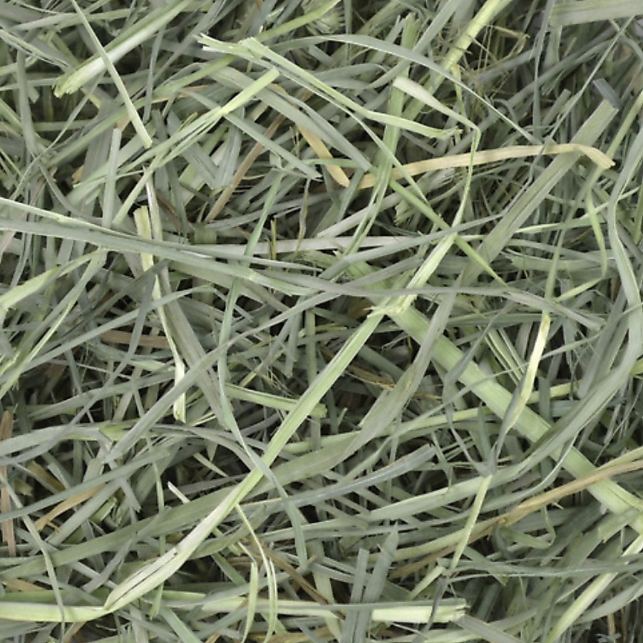 ‏grass orchard hay