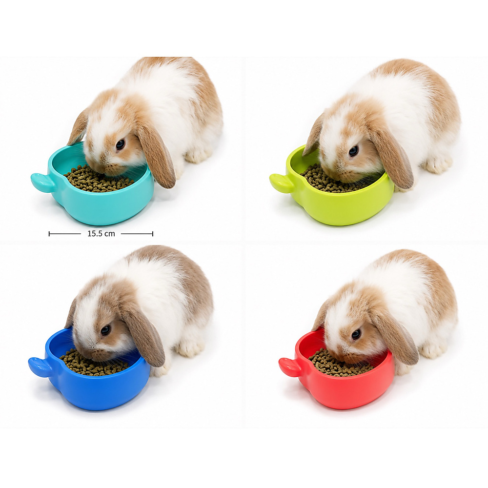 food bowl apple