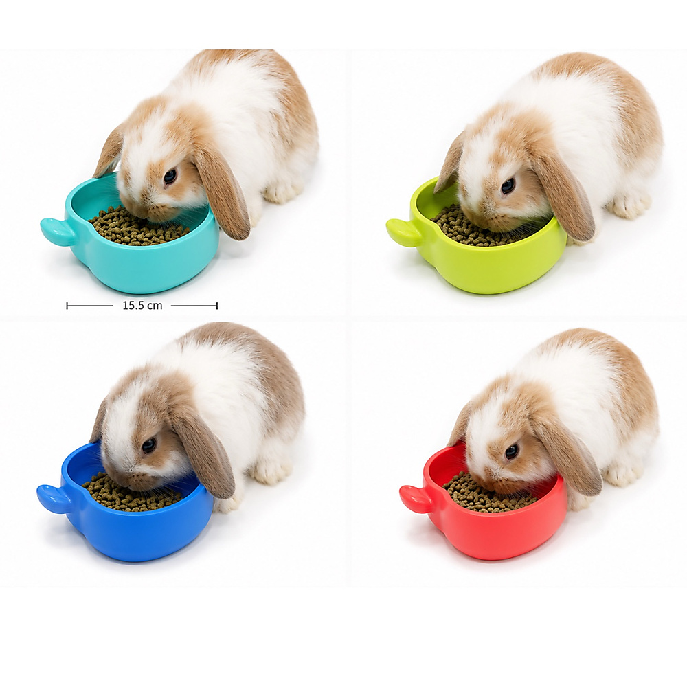 food bowl apple blue