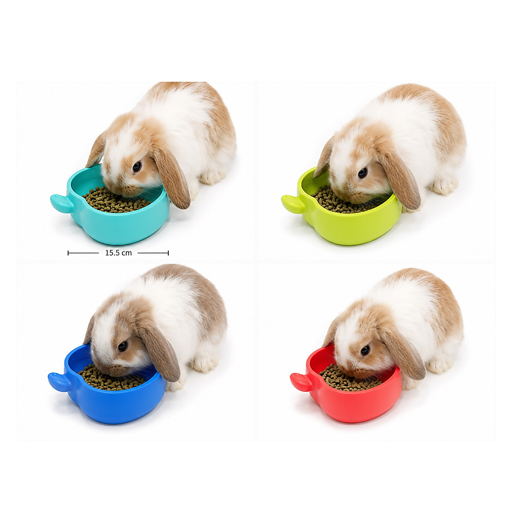 food bowl apple red