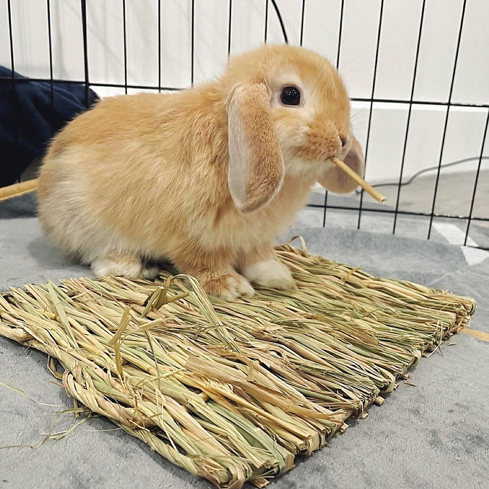 grass mat