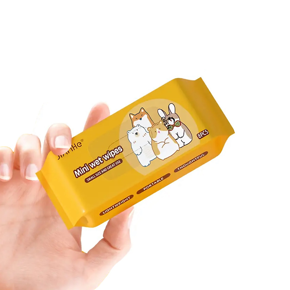 Pet Cleaning Mini Wipes