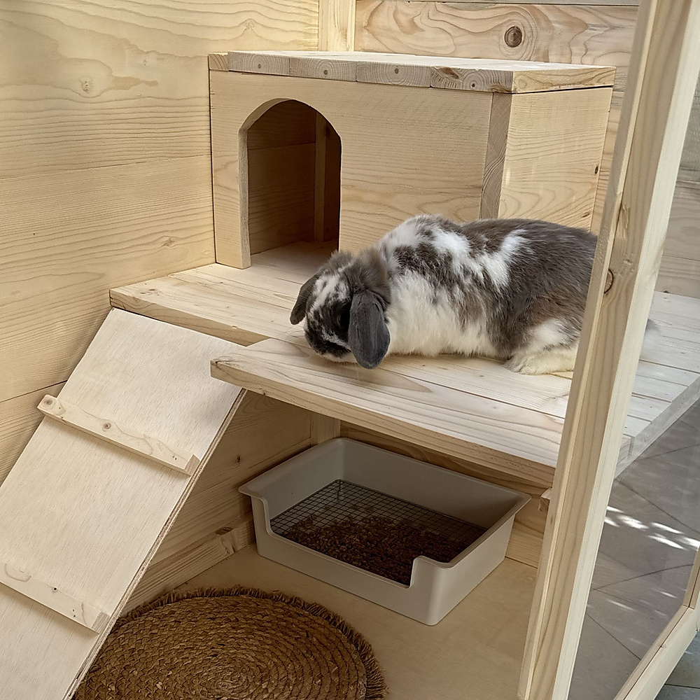 Double-Level Rabbit Hutch