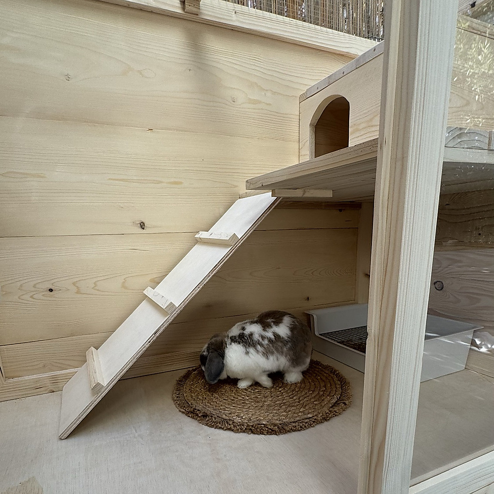 Double-Level Rabbit Hutch