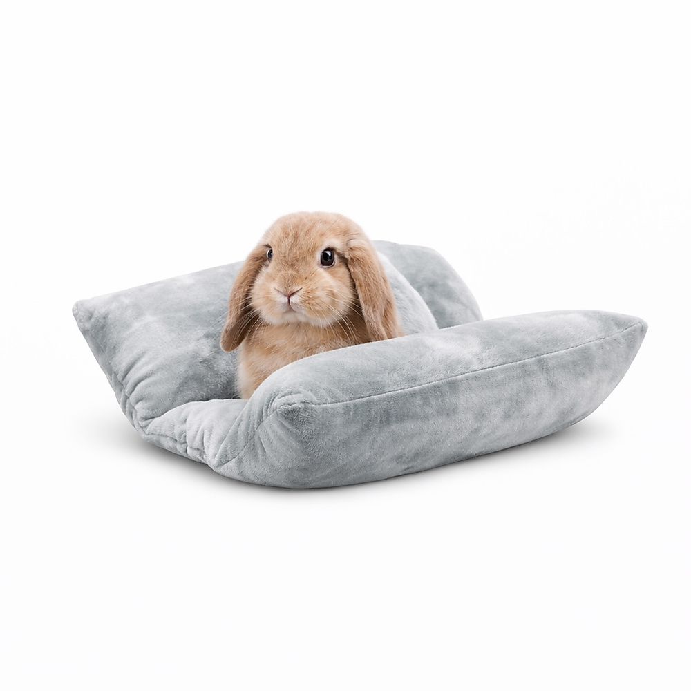 Bunny bed