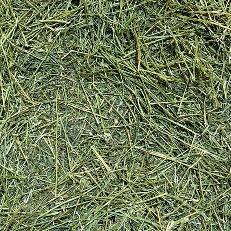 alfalfa hay high