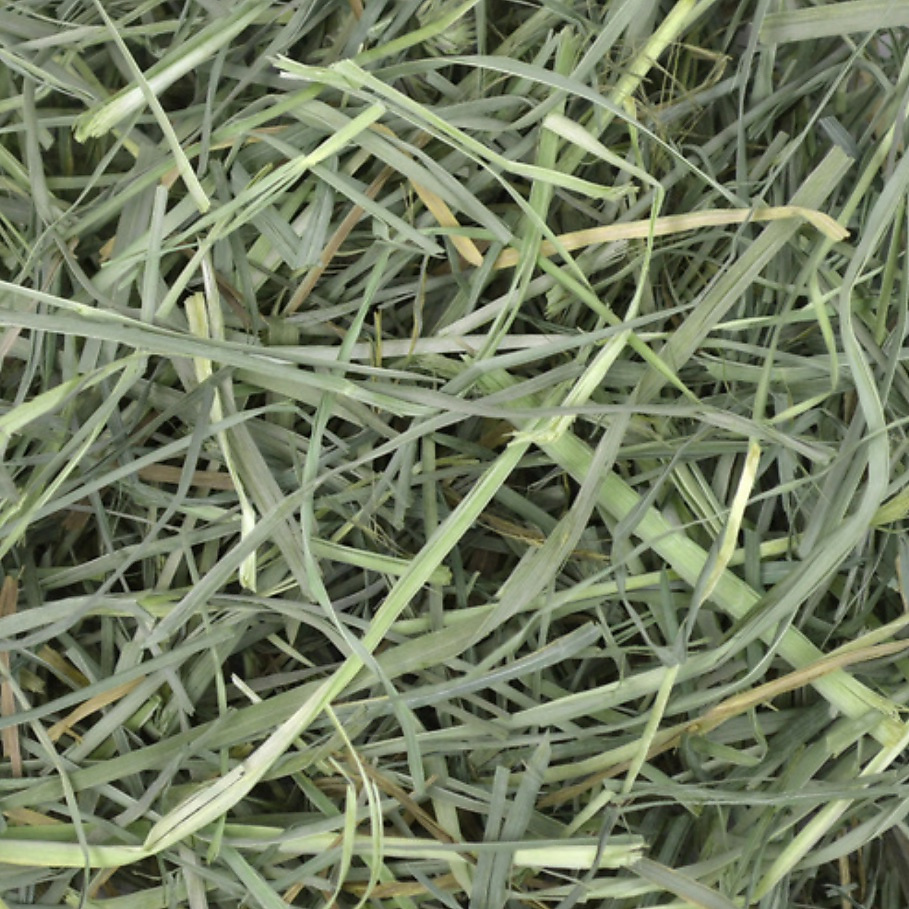 ‏grass orchard hay