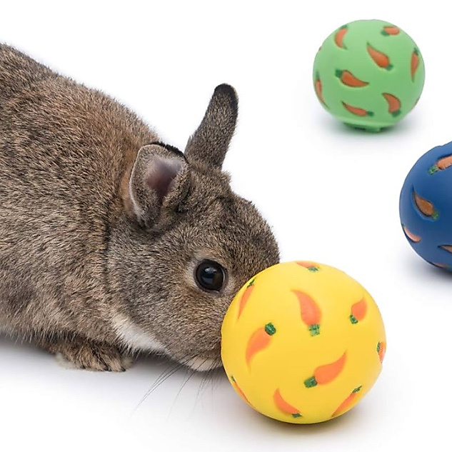 treat ball