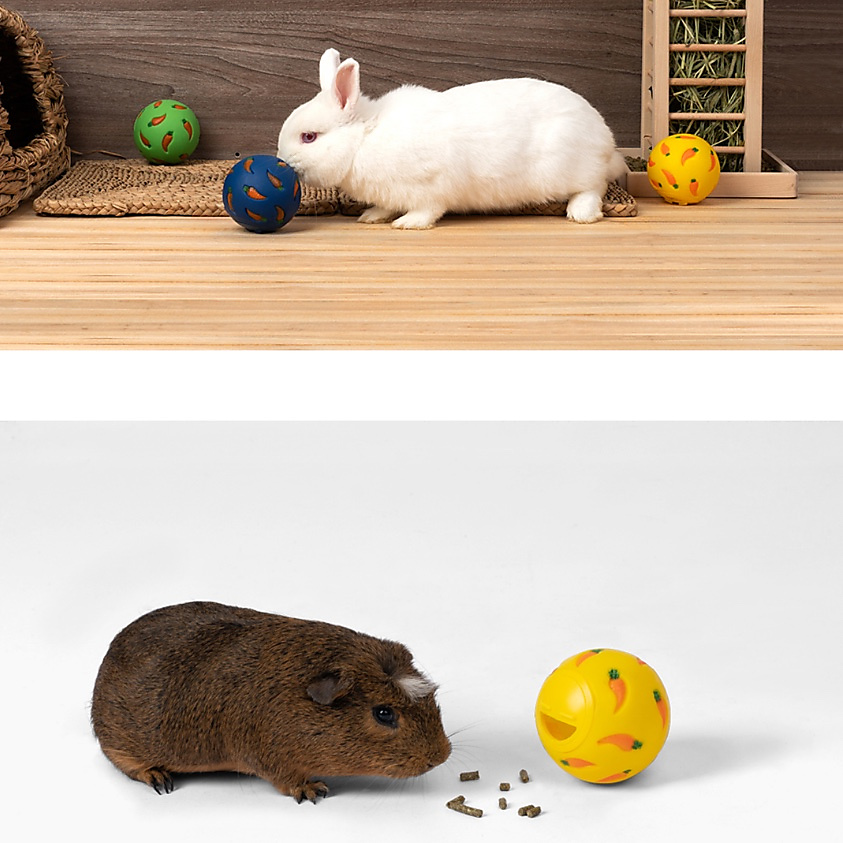 treat ball