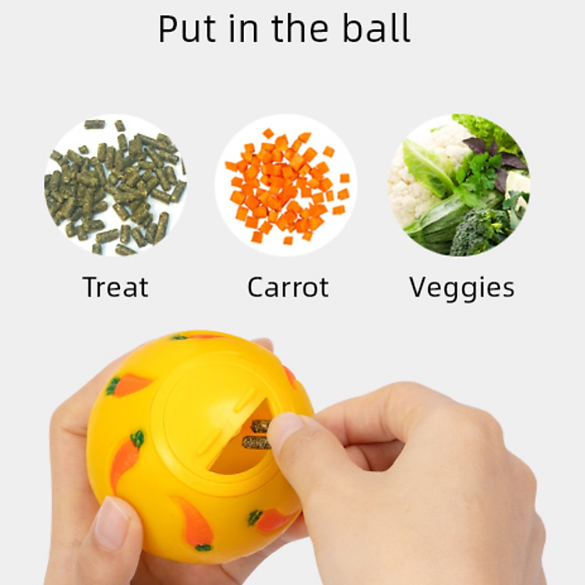 treat ball
