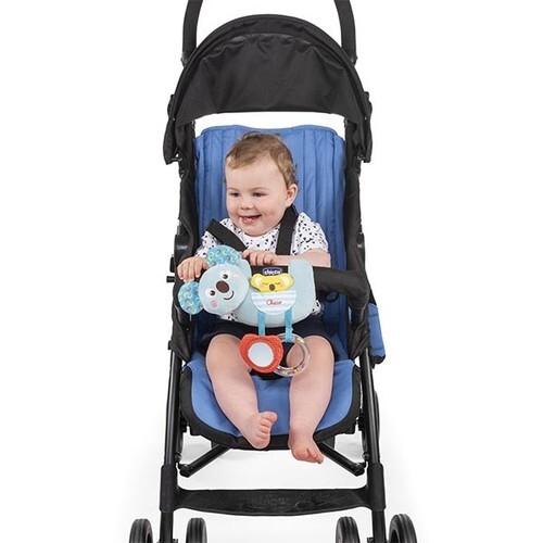 شيكو عائلة صغير الكوالا 36-6 شهرا