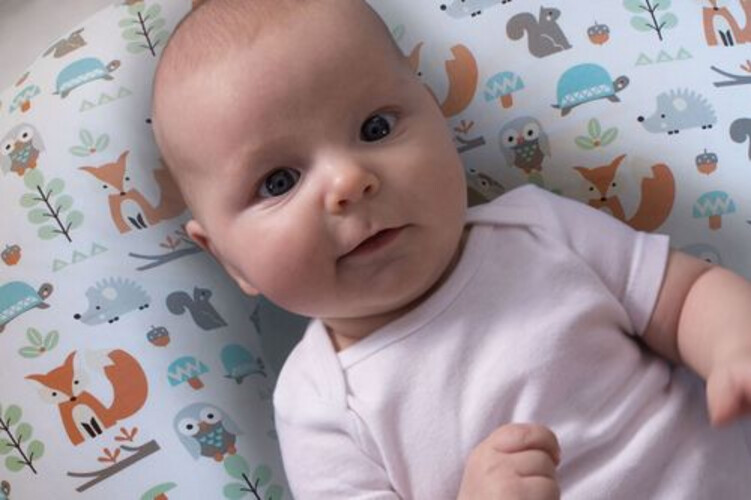 تشيكو وسادة الرضاعة بوبي مع غطاء من القطن - Modern Woodland