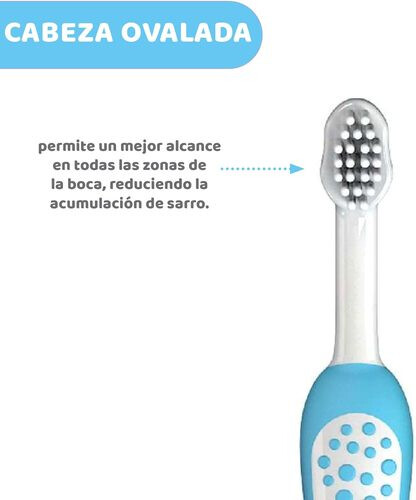 شيكو فرشاة أسنان من 6-36 شهر - لون أزرق