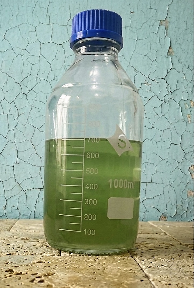 Kashan green rose oil