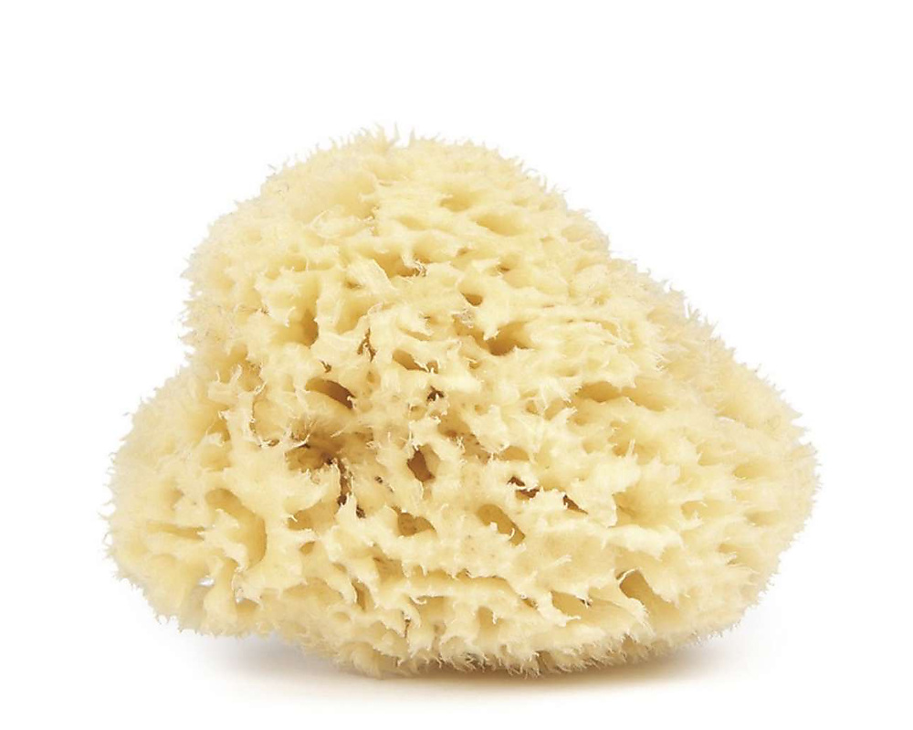 Natural sponge