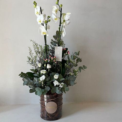 اوركيد الحديث