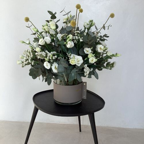 فازه الستوما الابيض