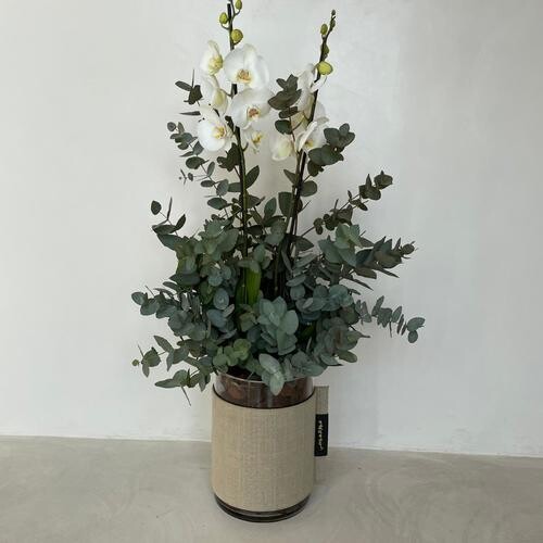 فابريك اوركيد الطويله