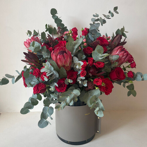 جوري الاحمر الكبير