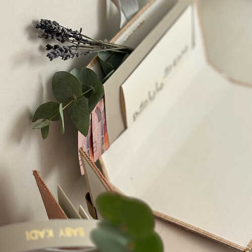 حقيبة المال المخملية