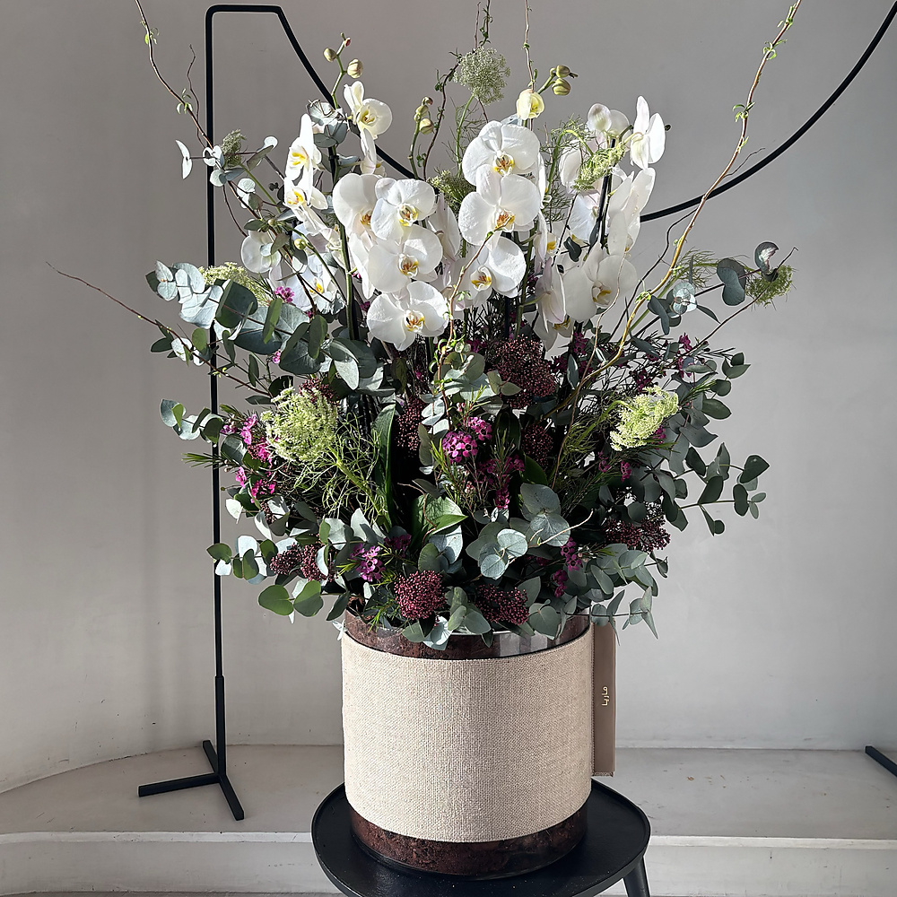 حديقه الاوركيد