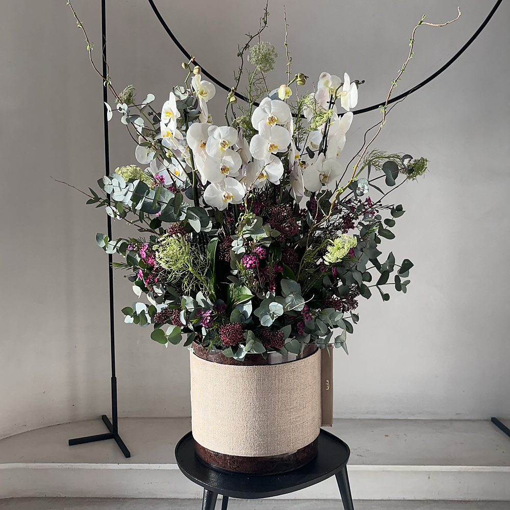 حديقه الاوركيد