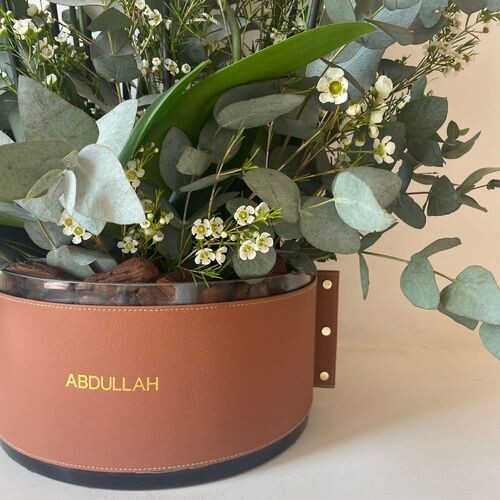 اوركيد دائري