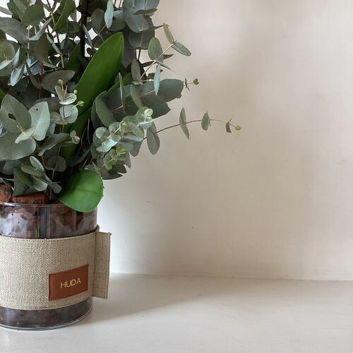 فابريك اوركيد