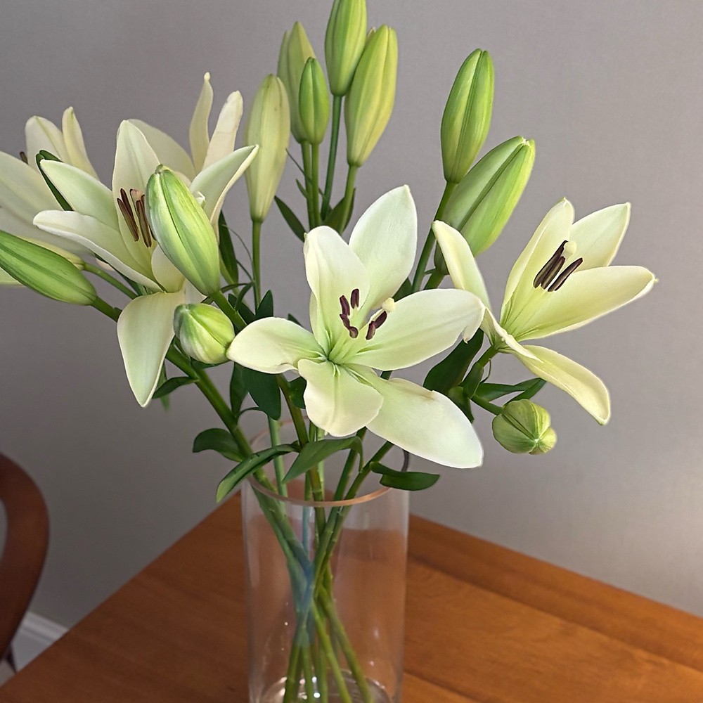 glass vase