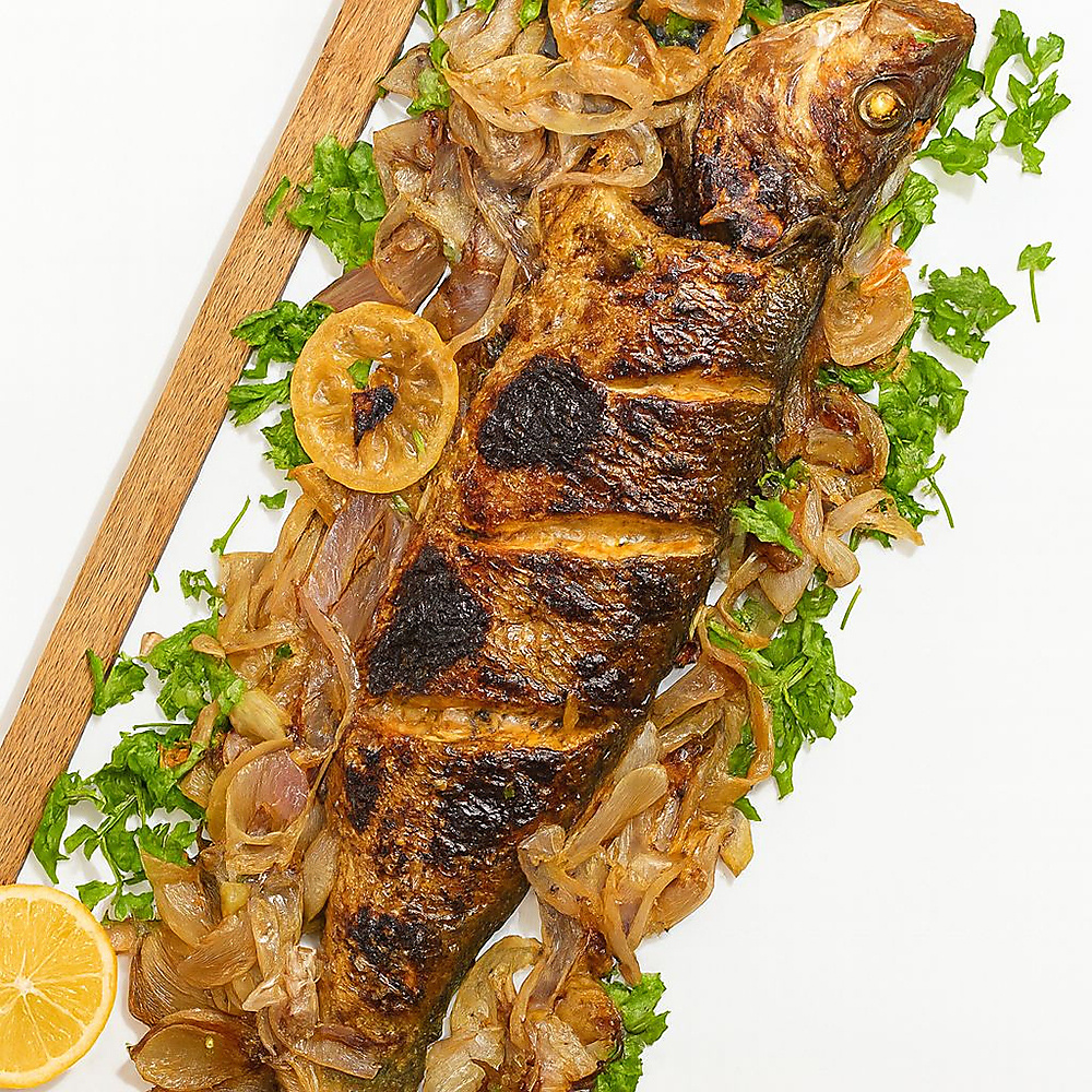 سيباس صغير قصدير