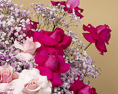 Roses Symphony