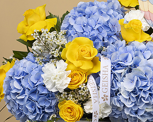 Littele Miracle Blue