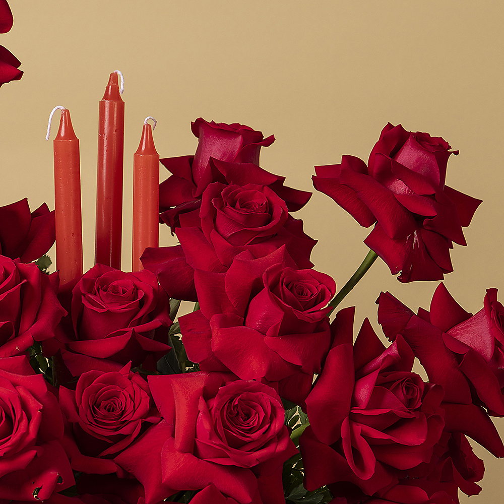 Warmth Of Roses