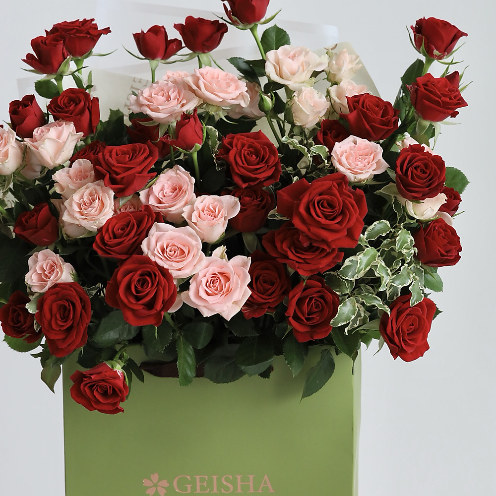 Rose Breeze
