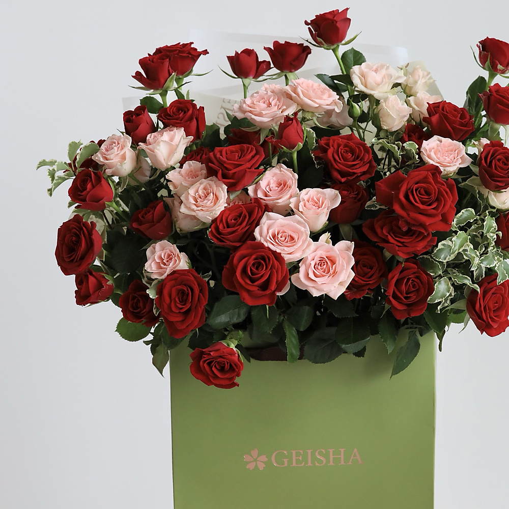 Rose Breeze