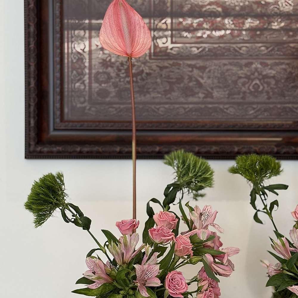 Welcome Blooms S