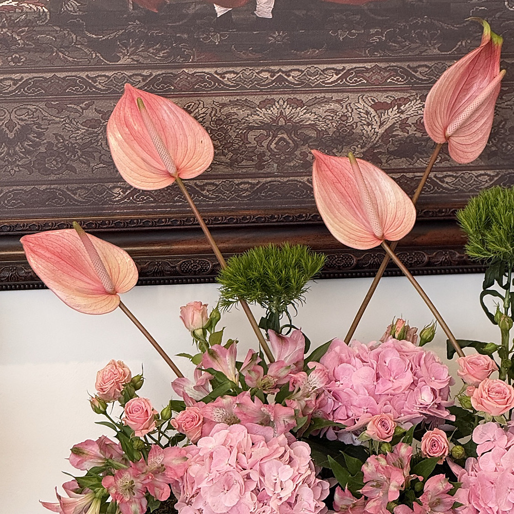 Welcome Blooms S