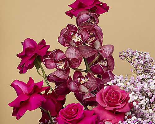 Roses Symphony