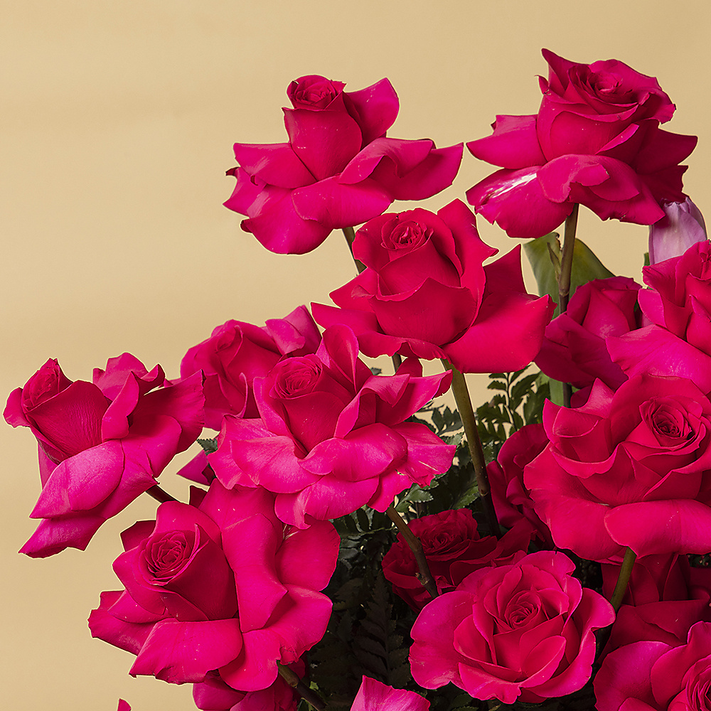Heart Of Roses