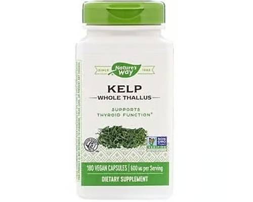عشبة البحر KELP