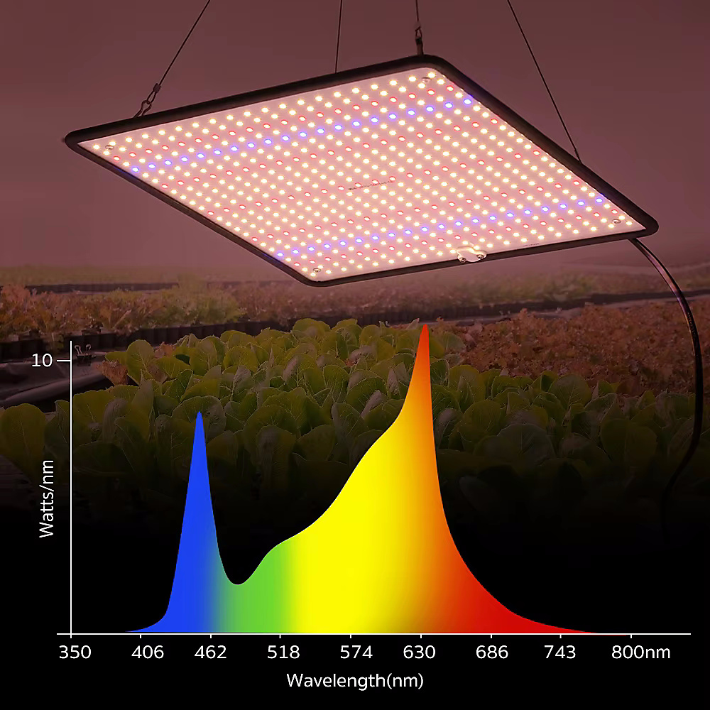 إضاءة نمو النباتات الطيف الكامل (LED Grow Light) 40 واط