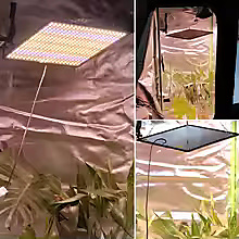 إضاءة نمو النباتات الطيف الكامل (LED Grow Light) 40 واط