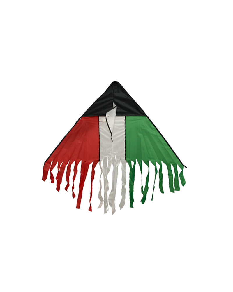 طيارة علم الكويت 2